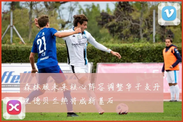 森林狼未来核心阵容调整华子麦丹里德贝兰热将成新基石